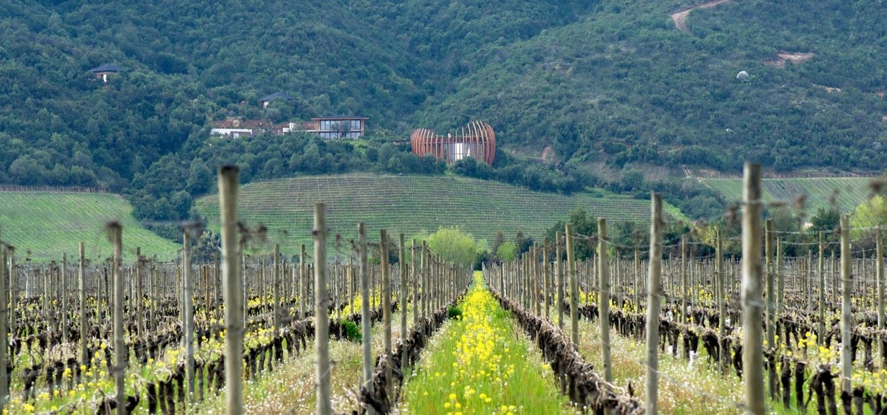 Clos Apalta Residence